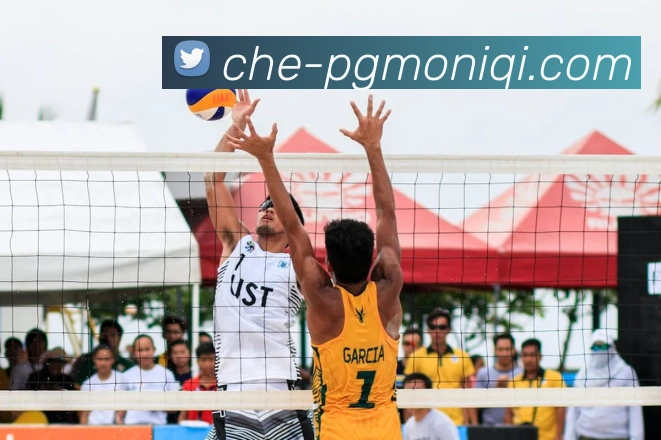 pg模拟器服务体系